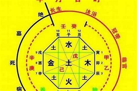 喜用金|八字入门基础 第六篇 如何判断八字喜用神